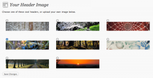 Choix images en-tête dans WordPress 3.0 Les nouveautés de WordPress 3.0 !