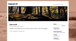 Nouveau thème dans WordPress 3.0 Nouveau thème - Les nouveautés de WordPress 3.0 !