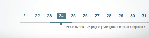 Paginator : Une pagination dynamique pour votre blog WordPress ! Paginator : Une pagination dynamique pour votre blog WordPress !
