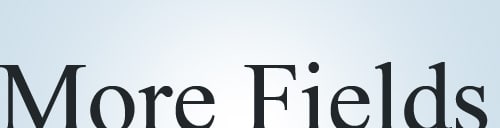 Ajouter des champs personnalisés aux contenus de vos articles ! Ajouter des champs personnalisés aux contenus de vos articles !