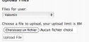 User File
