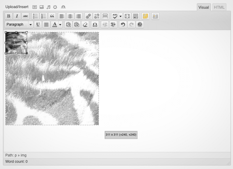 Image Pro Resize WordPress