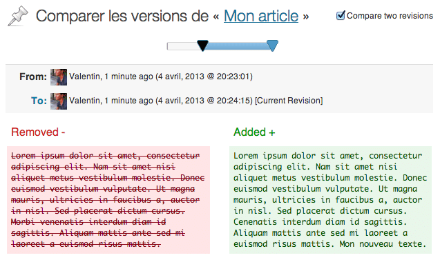 Révisions WordPress