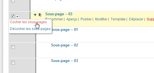 Advanced Page Manager