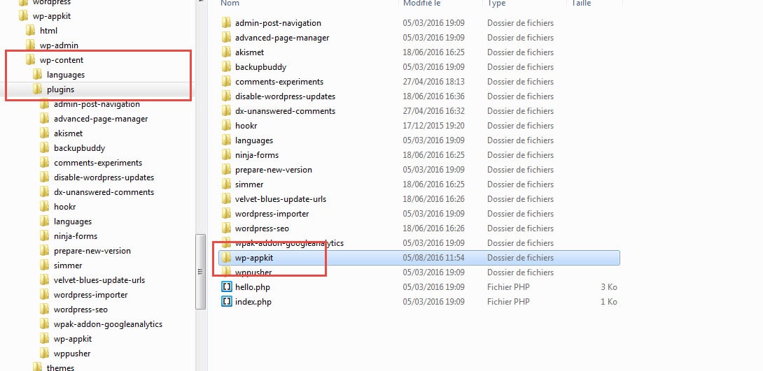 001 - Installation de WP-AppKit